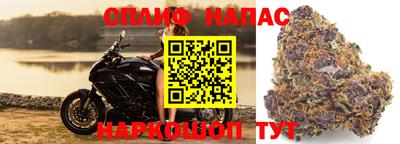 дживик Обнинск