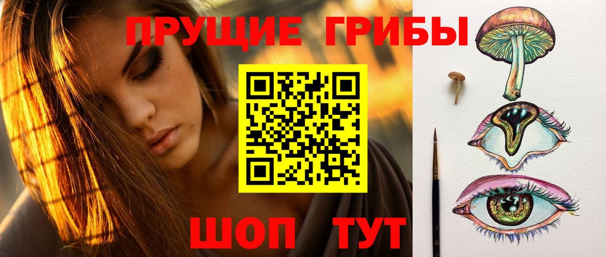 Псилоцибиновые грибы Cubensis  Галлюциногенные грибы мицелий  Вход с VPN  Татарск 